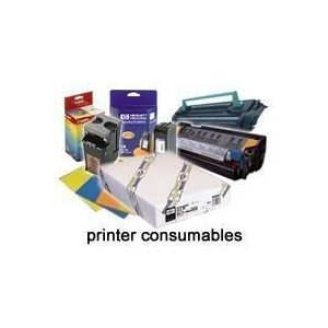 Epson Cartucho negro SIDM para LQ-2090 (C13S015336)