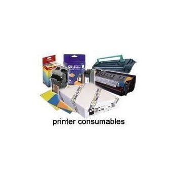 Epson Cartucho negro SIDM para LQ-2090 (C13S015336)